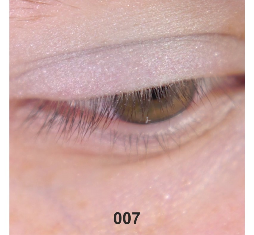 Wamiles Face The Colors Тіні для очей, 1,7г 