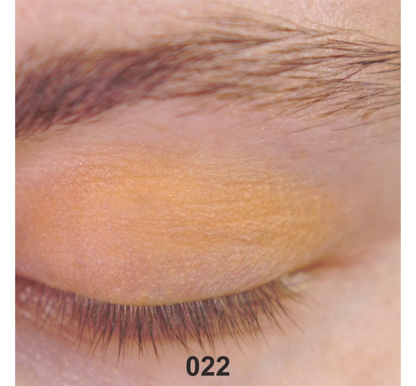 Wamiles Face The Colors Тіні для очей, 1,7г 