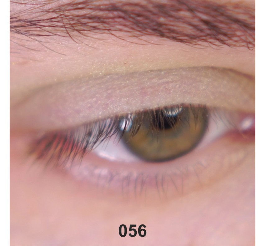 Wamiles Face The Colors Тіні для очей, 1,7г 